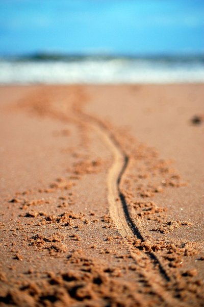 Line in the sand